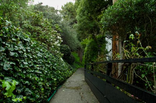 San Francisco Neighborhood Walkway Img2852 — San Francisco, California