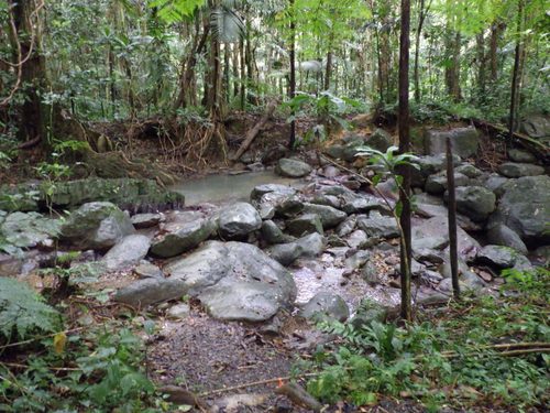 Yunque National Forest - Imgp1002 — Yunque National Forest, Puerto Rico