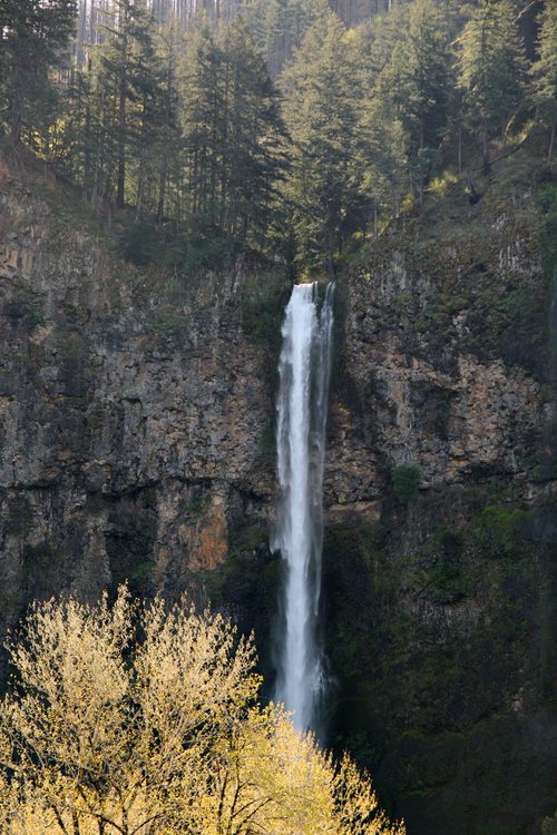 Multnomah Falls — Portland, Oregon