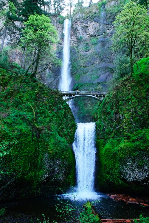 Multnomah Falls — Through the Trees — Portland, Oregon