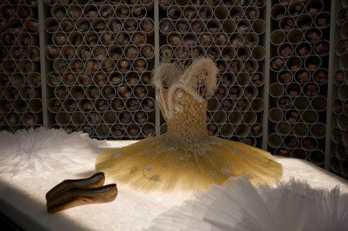 Tutu and Pointe Shoes — Centennial, Colorado