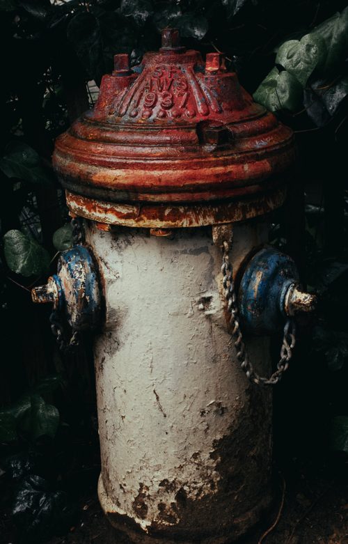 Fire Hydrant Img2864 — San Francisco, California