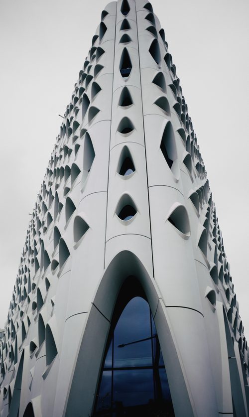 Looking Up at Populus — Denver, Colorado